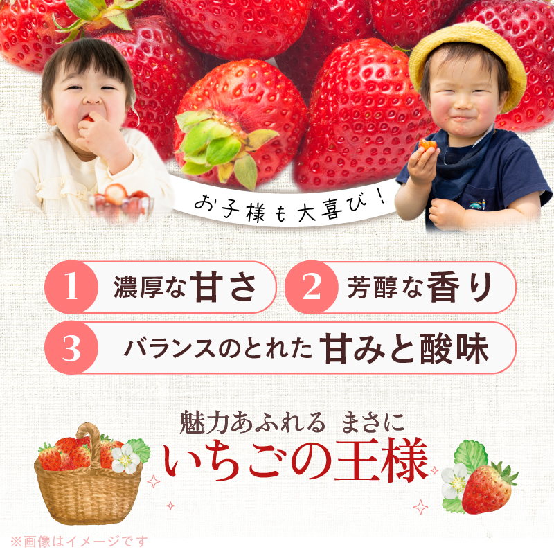 あまおうギフト箱（24-30粒）_予約受付 あまおう ギフト 箱 24 ～ 30粒 くるっぱオマケシール付き 国産 福岡県産 ブランドいちご いちごの王様 アフター保証 食べ方いろいろ 甘い 果物 フルーツ ストロベリー いちご お取り寄せ スイーツ デザート 贈り物 福岡県 久留米市 送料無料_Fi017