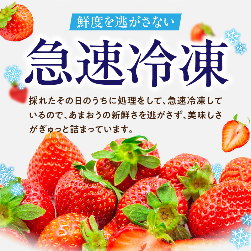 福岡県産 冷凍あまおう 摘みたて 1,500g(500g×3パック)_福岡県産 冷凍 あまおう 摘みたて 1,500g 500g × 3パック デザート 果物 いちご いちごの王様 冷凍いちご 食べ方いろいろ ヨーグルト アイス ジャム シャーベット スムージー ケーキ ドリンク お取り寄せ お取り寄せスイーツ 福岡県 久留米市 送料無料_Fi036