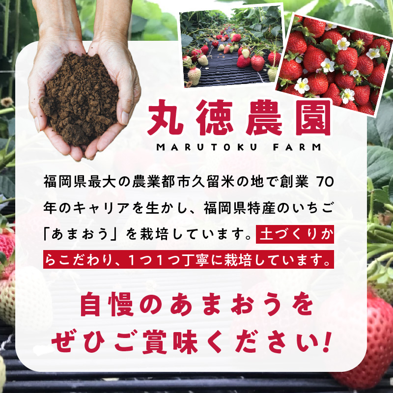 【2026年2月より順次発送】丸徳農園の福岡県産あまおう_丸徳農園 福岡県産 あまおう 300g × 4パック いちご いちごの王様 甘い 酸味 バランス 冷蔵 肉厚 大きい うまい おやつ デザート 果物 フルーツ 大人気 九州産 国産 食べ物 お取り寄せ 福岡県 久留米市 送料無料_Fi038