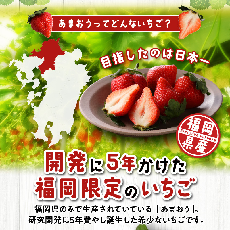先行予約！『いちごの定期便』福岡県産　あまおう　合計約1680g（約280 g×2パックを2月3月4月の3回）　 2026年2月より順次発送_いちご 先行予約 定期便 3回 あまおう 約280g × 2パック 合計 約 1680g 2026年2月より順次発送 イチゴの王様 果汁 栄養 風邪予防 健康 アンチエイジング 美容 福岡県産 果物 フルーツ スイーツ 久留米市 お取り寄せ 送料無料_Fi051