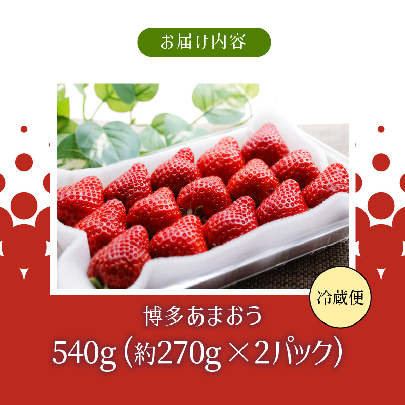 【12月中旬より順次発送】農家直送 朝採り新鮮いちご【博多あまおう】約270g×2パック_農家直送 朝採れ 新鮮 いちご 博多 あまおう 約 270g × 2パック 苺専用 パッケージ 包装 味 鮮度 妥協なし 生食 スイーツ ジュース 家族 贈答用 パーティー グルメ フルーツ 果物 お取り寄せ 福岡県 久留米市 送料無料_Fi061