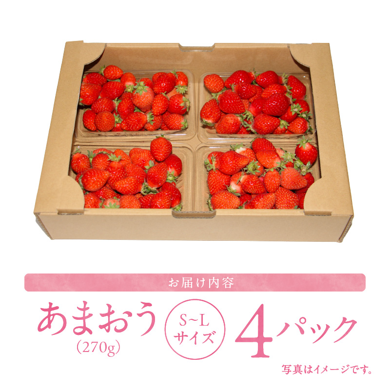 訳あり いちごの王様！【あまおう小粒もりもり】（４パック）１月から発送_【訳あり】 いちごの王様！【あまおう小粒もりもり】（４パック）１月から発送_Fi069