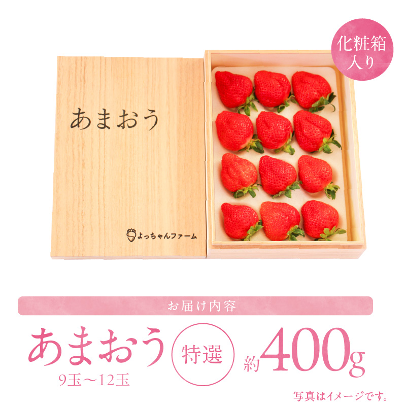 特選あまおう 約400g 12月から発送_あまおう 特選 約 400g 9～12玉 予約 完熟 贈答用 いちごの王様 ブランドいちご 化粧箱入り 土耕栽培 朝一番収穫 即日発送 お取り寄せ 福岡県 久留米市 送料無料_Fi070
