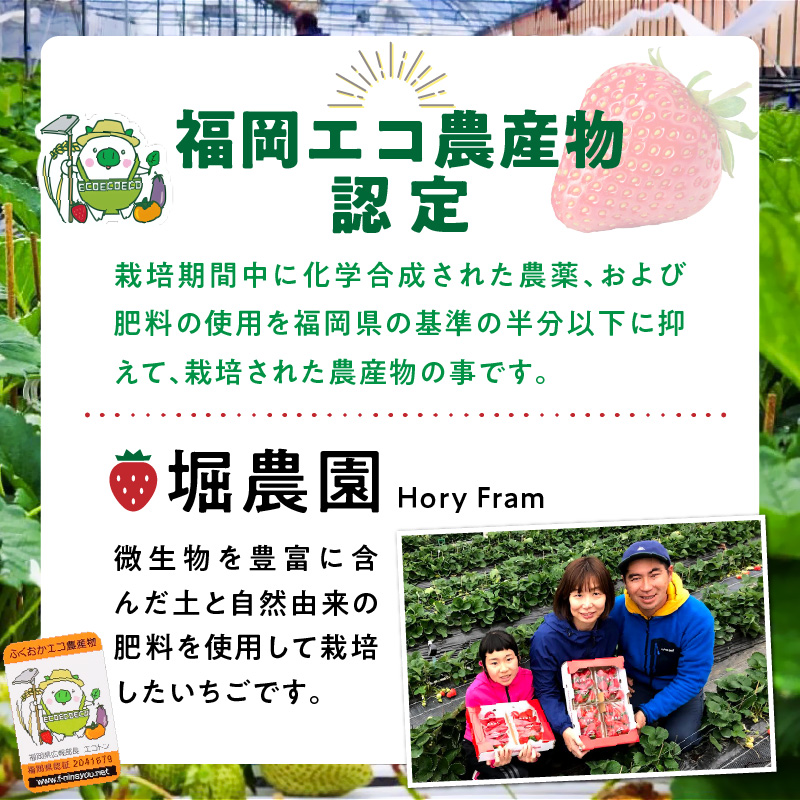 福岡県エコ農産物認定　堀農園のあまおう400g_エコ農産物認定 堀農園 あまおう 200g × 2パック 計 400g 完熟 食べ頃 いちご チルド便 大粒 甘み 程よい 酸味 バランス 絶妙 果汁 ジューシー お取り寄せ 福岡県 久留米市 送料無料_Fi074