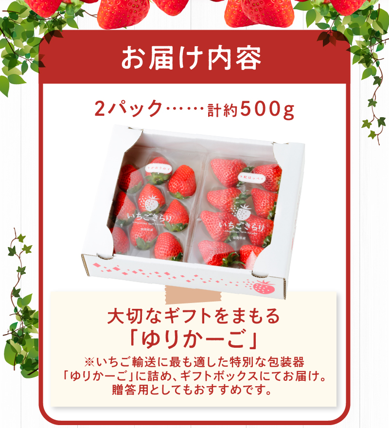 特別栽培 旬のいちご詰め合わせ（ふくおかエコ農産物）約600g_特別栽培 旬 いちご 2種 詰め合わせ 食べ比べ セット 約 500g 冷蔵 ふくおかエコ農産物 新鮮 福岡県産 あまおう 恋みのり かおりの 紅ほっぺ よつぼし すず あまえくぼ ギフトボックス 贈答用 ゆりかーご フルーツ 果物 お取り寄せ 福岡県 久留米市 送料無料_Fi110