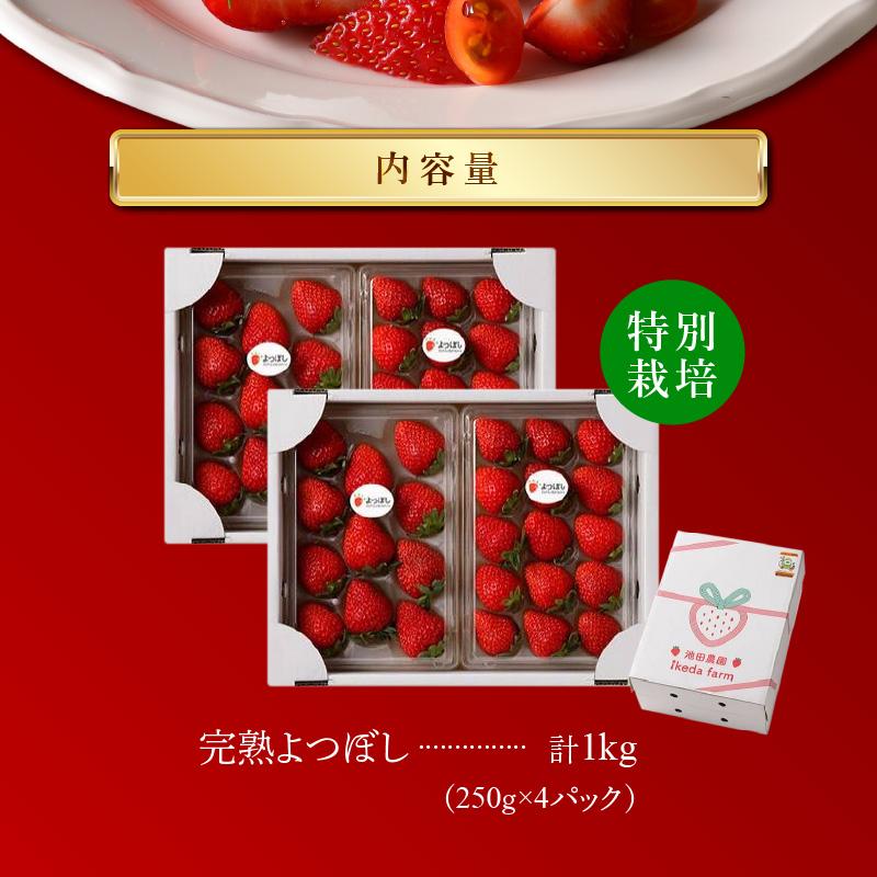池田農園の特別栽培完熟よつぼし　250g×4パック_池田農園 特別栽培 完熟 よつぼし 250g × 4パック 濃厚 甘い 安心安全 栄養価が高い 福岡エコ農産物 いちご 果物 フルーツ スイーツ いちご煮 いちごジャム スムージー おやつ ストロベリー ゆりかーご お取り寄せ 贈り物 福岡県 久留米市 送料無料_Fi112