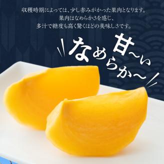 【10月発送】池尻農園　太秋柿　9玉～14玉　約3kg_柿 甘柿 太秋柿 9玉 ～ 14玉 約 3kg 種が少ない 池尻農園 シャキシャキとした食感 さっぱり 多汁 高い糖度 国産 フルーツ 果物 福岡県 久留米市 お取り寄せ お取り寄せフルーツ 食品 食べ物 送料無料_Fk012