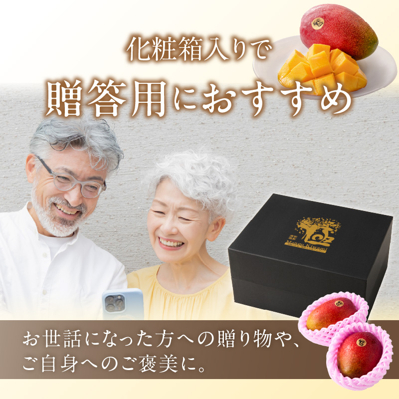【2026年6月以降お届け】極　完熟マンゴー（2～3玉：約1.1～1.3kg） _ 完熟マンゴー 2 ～ 3玉 約1.1kg 1.3kg 平均糖度 17度～18度 完熟 マンゴー 倉重農園 フルーツ トロピカルフルーツ 果物 デザート 冷蔵 クール便 お取り寄せ お取り寄せフルーツ 福岡県 久留米市 送料無料 _Fm020