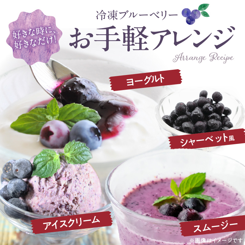 冷凍ブルーベリー 1kg_冷凍 ブルーベリー １kg 完熟 自家農園 ミキサー アイス ヨーグルト シャーベット スムージー アントシアニン 疲れ目 腸内環境 国産 ジャム レシピ 冷凍フルーツ 果物 フルーツ お取り寄せ くだものお取り寄せ 福岡県 久留米市 送料無料_Fx005