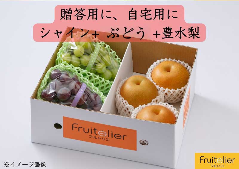 【先行予約】※贈答用※【フルトリエ】シャインマスカット・ぶどう・梨の詰合せ☆100年続くフルーツ農家_フルーツ 贈答用 セット 詰め合せ シャインマスカット 450g以上1房 マスカット ぶどう 450g以上1房 梨 2〜4玉 ギフト 贈り物 果物 食べ物 食品 朝採れ 冷蔵 送料無料 100年続くフルーツ農家 フルトリエ 中村果樹園_Fx011