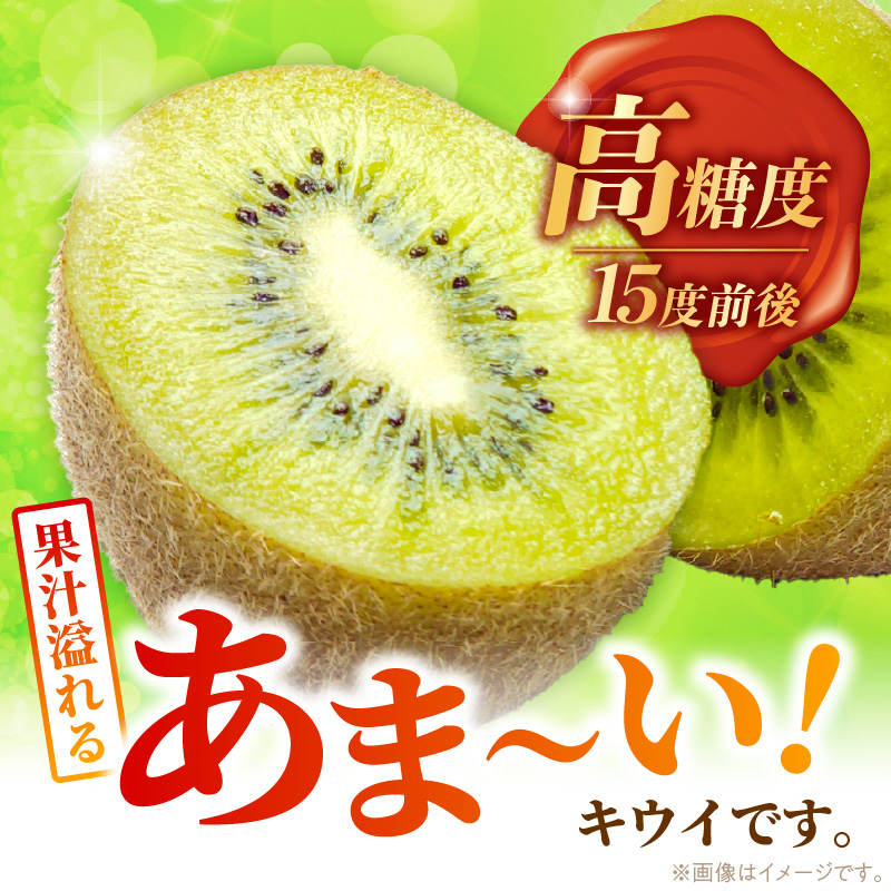 甘うぃ1.5kg箱_甘い キウイ 甘うぃ キウイフルーツ 1.5kg 国産 甘みの強い 果実 黄色味 福岡 オリジナル品種 濃厚 まろやか 高糖度 フルーツ 果物 ヨーグルト スムージー ジュース デザート 福岡県 久留米市 お取り寄せ お取り寄せフルーツ 送料無料_Fx019