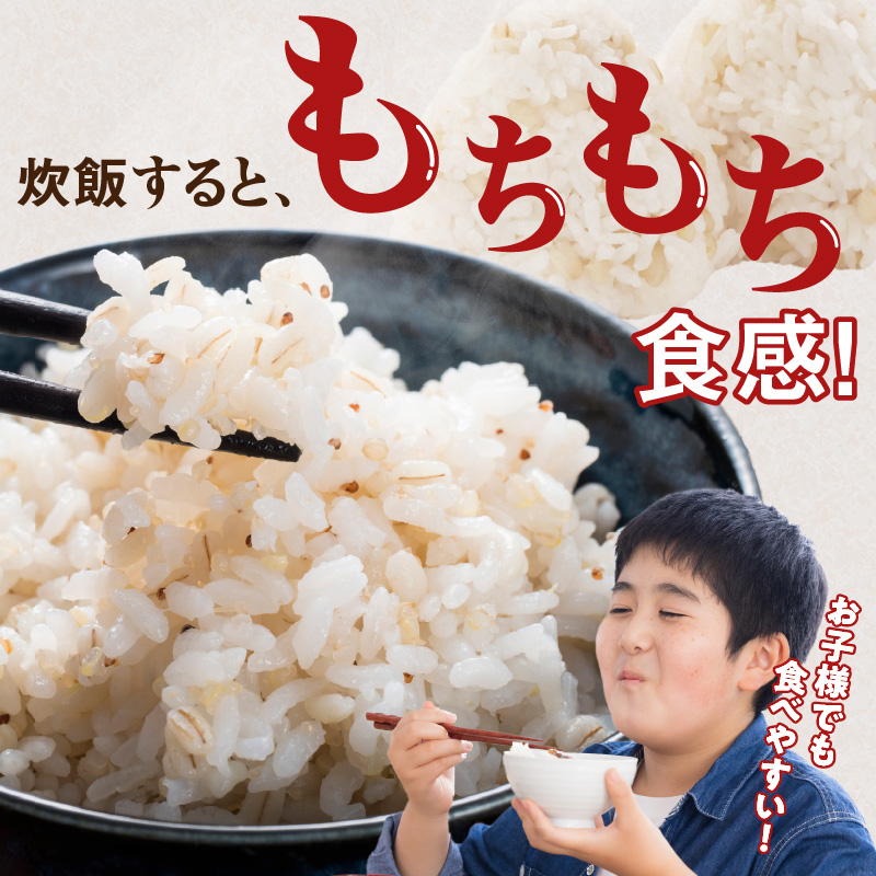久留米市産もち麦（1kg×2）_久留米市産 もち麦 1kg × 2 九州産 くすもち二条 食物繊維 豊富 便通促進 満腹感 栄養豊富 タンパク質 筋肉 美肌 美髪 ビタミン ミネラル 免疫力 疲労回復効果 もちもち食感 水洗い不要 吸水不要 手軽 簡単 食品 福岡県 久留米市 お取り寄せ 送料無料_Gr053