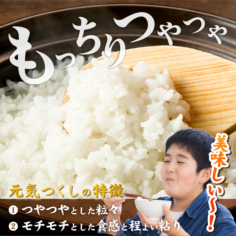 2025年新米 羽衣農園 元気つくし 白米 10kg（5kg×2） _ 2025年 新米 5kg × 2袋 計 10kg 福岡県産 精米 ブランド米 銘柄米 つやつや モチモチ 程よい粘り 冷めても美味しい ご飯 白ご飯 おにぎり 弁当 お米 食品 お取り寄せ 福岡県 久留米市 送料無料 _Gr075