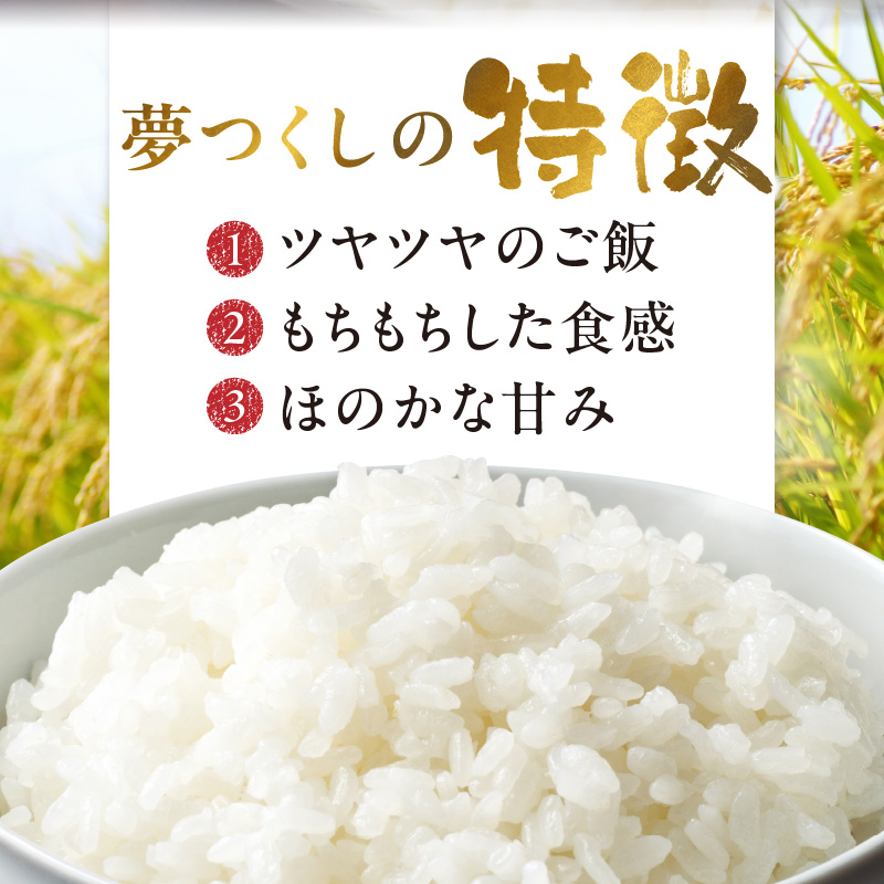 金のめし丸夢つくし　22017　2kg（1袋）　令和7年産 _ 2kg × 1袋 国産 米 福岡県産米 白米 精米 お米 夢つくし オリジナル米 金のめし丸 おいしい ツヤツヤ もちもち ほのかな甘み ご飯 おにぎり 食品 ライス 常温 九州 福岡県 久留米市 お取り寄せ 送料無料 _Gr076
