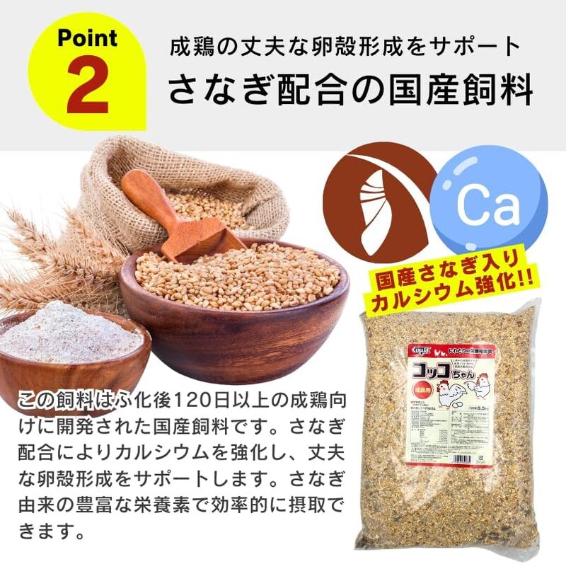 コッコちゃん 成鶏用 さなぎ入 8.5kg_コッコちゃん 成鶏用 飼料 さなぎ入 8.5kg 成鶏 健康維持 さなぎ 配合 産卵 サポート 卵 カルシウム 豊富 国産 原料 タンパク質 ビタミン ミネラル アミノ酸 自然 農作物 キンケイ チャボ 烏骨鶏 鶏 福岡県 久留米市 送料無料_Pf081