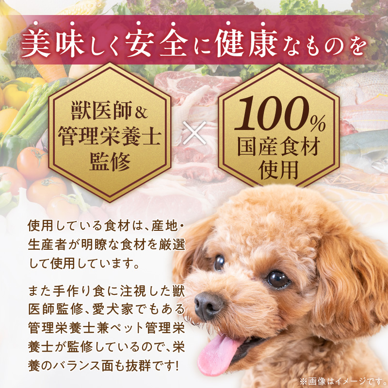 ペットフード 無添加ドッグフード・ブルズごはん ワンちゃんのおせち 犬用おせち _ ドッグフード ブルズごはん スープ 鹿もも肉 ブリ 肉 魚 年末 正月 新春 お祝い 厳選 手作り 獣医師監修 冷凍 犬 ペット ご飯 国産 福岡県 久留米市 お取り寄せ 送料無料 _Pf088