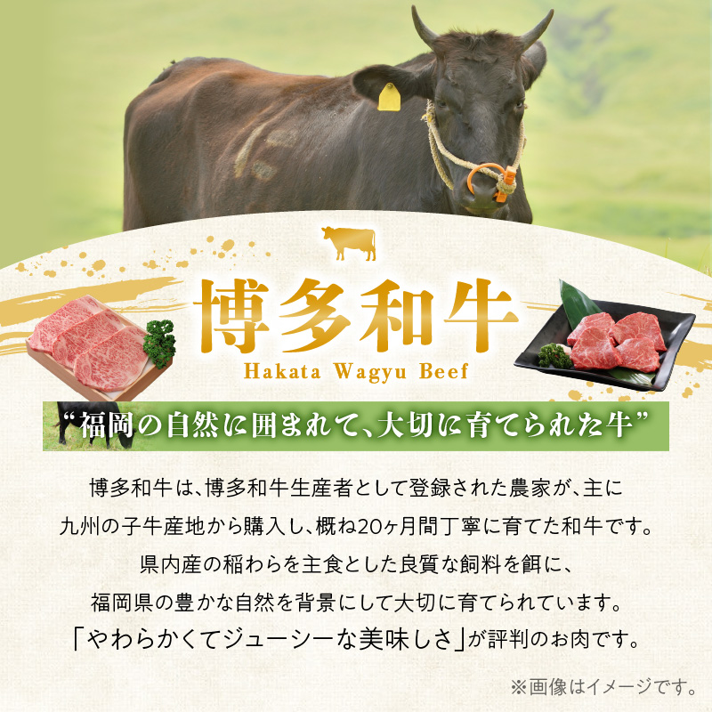 【定期便】毎月届く！博多和牛 カレールー（3回コース）_【定期便】 3回 博多和牛 カレールー 200g × 8パック × 3ヶ月 計 4.8kg テール スープ じっくり煮込んだ スパイシー カレー コク 国産 和牛 国産牛 牛肉 レトルト 食品 加工食品 冷凍 お取り寄せ 福岡県 久留米市 送料無料_Tk018