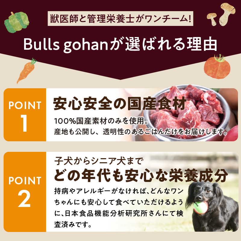 【定期便：隔月3回お届け！】ペットフード　無添加ドッグフード・ブルズごはんCUBEタイプ　300g×5袋（馬・豚・鹿・鶏・魚）_定期便 無添加 ドッグ フード ブルズごはん CUBE 300g × 5袋 隔月 計3回 馬肉 チーズ 豚肉 鹿肉 魚 野菜 鶏 ダシ 雑炊風 5種類 キューブタイプ 国産 手作り ごはん 混ぜるだけ おやつ ローテーション 成犬 シニア犬 愛犬 冷凍 福岡県 久留米市 送料無料_Tk040