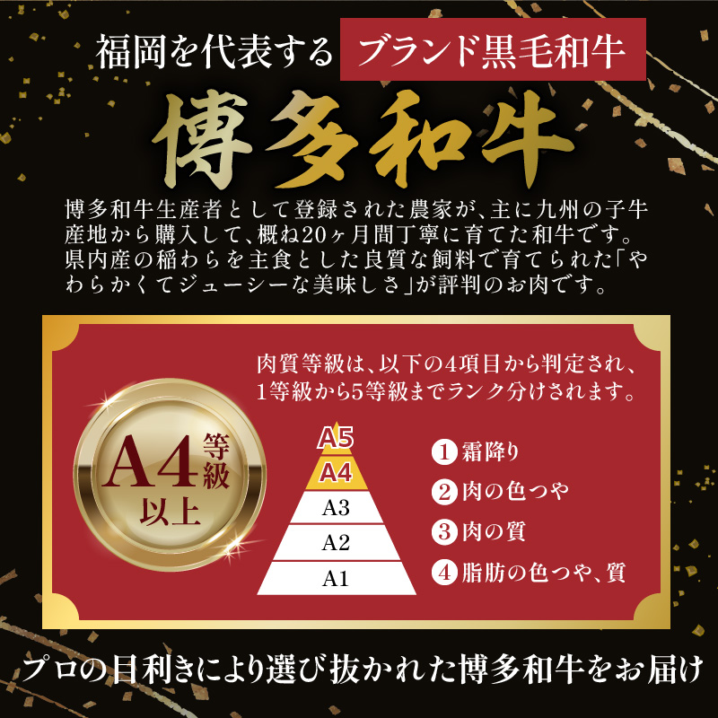博多和牛切り落とし 500g×2パック　12回定期便 _Tk064 12回定期便