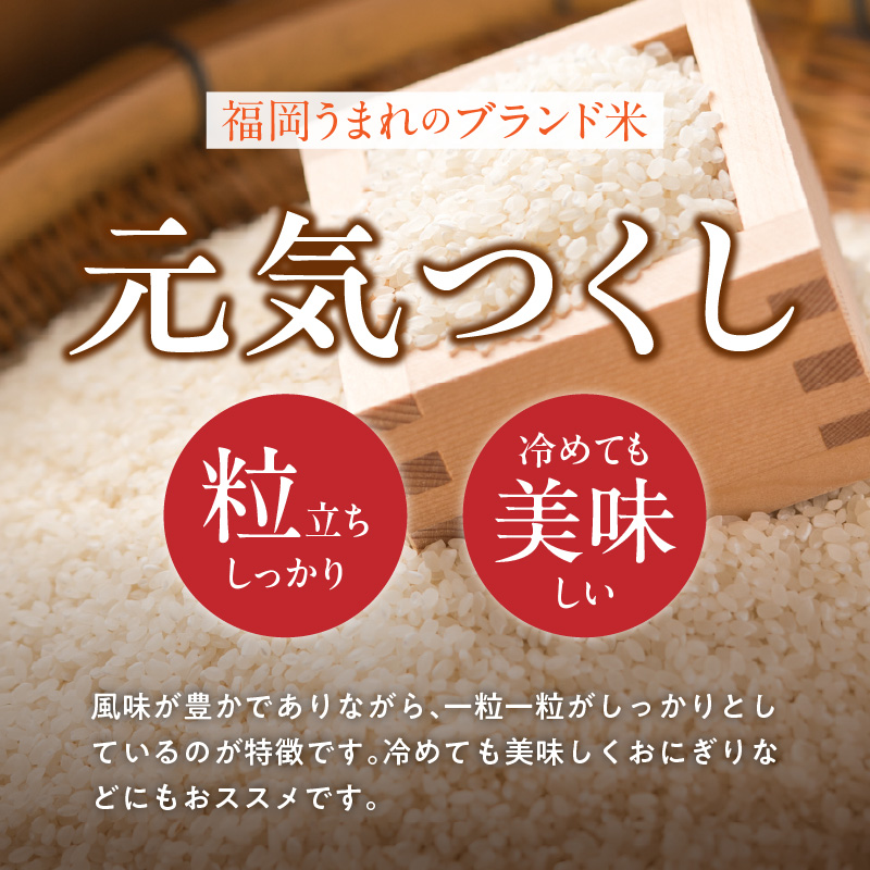 【定期便5回】【令和8年産 新米】福岡県産ブランド米元気つくし 白米 9kg×5回 _  元気つくし 9kg  お届け回数 5回 定期便 福岡県産 ブランド米 精米 新米 福岡生まれ 品種 香り豊か ふっくら 食感 ご飯 白ご飯 おにぎり 弁当 お米 食品 お取り寄せ 九州 久留米市産 福岡県 久留米市 送料無料 _Tk112-05 5回