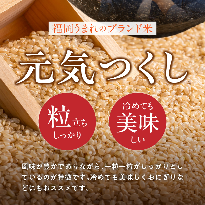 【定期便5回】【令和8年産 新米】福岡県産ブランド米元気つくし 玄米 10kg×5回 _  元気つくし 10kg お届け回数 5回 定期便 福岡県産 ブランド米 新米 福岡生まれ 品種 香り豊か ふっくら 食感 ご飯 おにぎり 弁当 お米 食品 お取り寄せ 九州 久留米市産 福岡県 久留米市 送料無料 _Tk116-05 5回