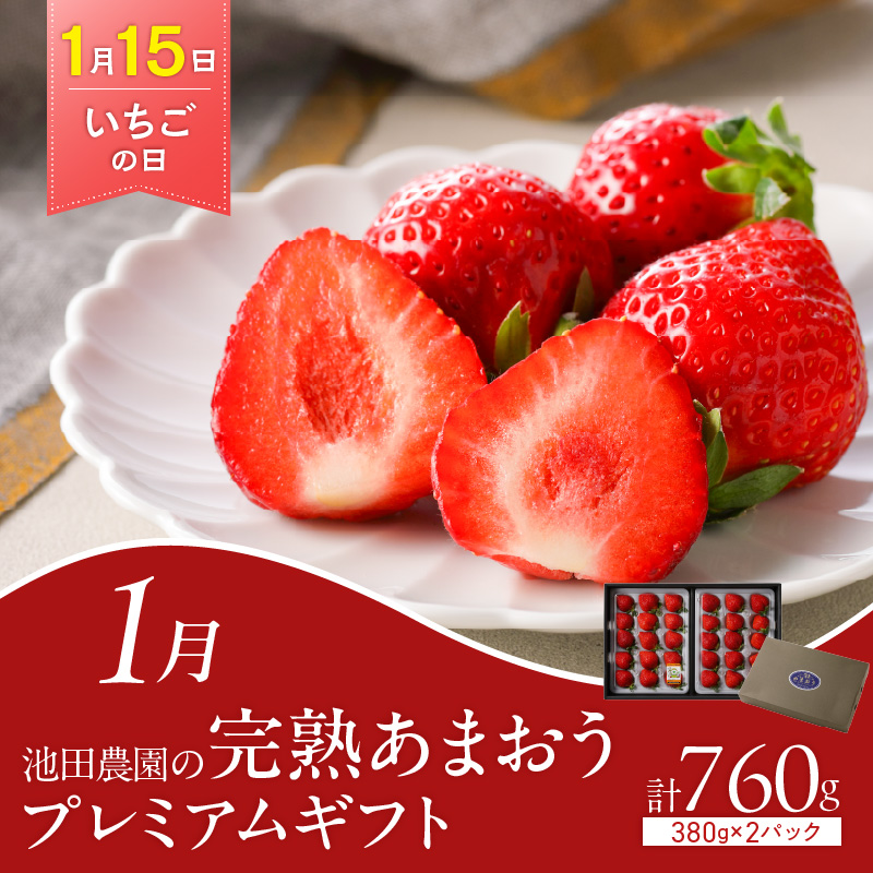 「〇〇の日！」12ヵ月定期便 _ 定期便 12回 毎月お届け あまおう 肩ロース 冷凍 焼餃子 焼き立てパン アイスクリーム 抹茶 バニラ チョコ 梅のしずく 生ラーメン 和牛 焼肉 米粉 シュークリーム 珈琲 魚 漬け丼 ハム グルメ おかず フルーツ 厳選 お取り寄せ 福岡県 久留米市 送料無料 _Tk120