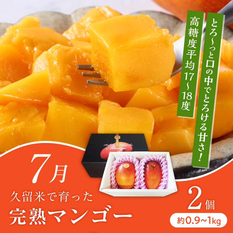 【定期便 6回】旬の恵み！福岡フルーツ定期便 _ 定期便 6回 フルーツ 完熟 マンゴー シャインマスカット 黒イチジク ビオレソリエス キウイ 甘うぃ 柿 福岡県GAP 秋王 あまおう いちご グルメ 旬 お取り寄せ 福岡県 久留米市 送料無料 _Tk127