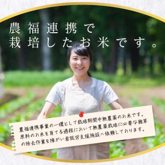 米焼酎ミルキークイーン 黒ラベル 25度 720ml_米焼酎 ミルキークイーン 焼酎 720ml  黒ラベル 25度 久留米産 米麹 食用米 使用 香り 味わい コク フーゼル油無濾過 強い 個性 パンチ こだわり 昔ながら 味わい お取り寄せ 飲み物 アルコール 酒 化粧箱入 瓶 家飲み 宅飲み 晩酌 福岡県 久留米市 送料無料_El014