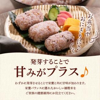 国内産 GABA雑穀米 230g×6個 計1380g_日本雑穀アワード 2年連続 金賞 受賞 GABA 雑穀米 230g 1380g 国産 雑穀 16種 ブレンド 発芽 甘み 栄養 バランス フィチン酸 もち玄米 うるち玄米 もち麦 ハト麦 米 混ぜるだけ 健康 弁当 おにぎり お取り寄せ 送料無料 福岡県 久留米市_Gr011 1回お届け：6個