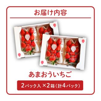 あまおういちご_いちご あまおう 2パック 2箱 計4パック 果物 フルーツ 福岡 久留米 九州産 長尾農園 ストロべリー お取り寄せ お取り寄せフルーツ 食品 食べ物 おやつ お菓子作り 送料無料_Fi047