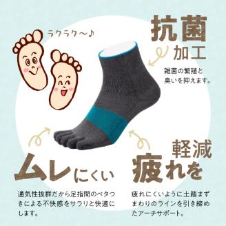 和紙×コラーゲンナイロン異素材コラボで足の悩みをサポート 爽快な履き心地 アルキテクト・クール3足入り（3色/L寸）_Qm010