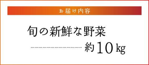福岡県久留米市産 新鮮野菜セット_福岡県 久留米市産 新鮮野菜 セット 10品目 約10kg 旬の野菜 詰め合わせ 新鮮 季節 野菜 水菜 小松菜 ほうれん草 アスパラ キャベツ オクラ レイシ トマト 胡瓜 ニラ 玉葱 インゲン 茄子 春菊 ブロッコリー 大根 旬 料理 久留米市 冷蔵 お取り寄せ 送料無料_Gv025