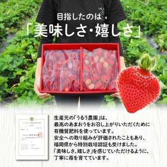 【2026年2月以降お届け】うるう農園の冷凍あまおう2kg_あまおう 2kg 冷凍 甘い 濃厚 新鮮 いちごの王様 うるう農園 いちご 果物 アレンジ おやつ フルーツ スイーツ スムージー ジャム アイス けずり苺 お取り寄せ お取り寄せグルメ 福岡県 久留米市 送料無料_Fi204