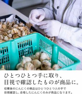 久留米産　熟成黒にんにく　6袋セット_熟成 黒にんにく セット 7粒入り×6袋 久留米産 生にんにく 長時間熟成 自己発酵 アミノ酸 ポリフェノール 豊富 抗酸化作用 抗アレルギー作用 発酵 糖度 ドライフルーツ 食感 自然素材 サプリメント 国産 食品 常温 お取り寄せ 福岡県 久留米市 送料無料_Ca102