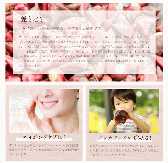 農薬不使用自家栽培 ポリフェノールたっぷり 彩菱茶　24g（2g×12袋入り）_彩菱茶 24g 2g × 12個 1袋 自家栽培 ポリフェノール 豊富 菱の実 万葉 昔 人々 親しまれてきた 伝統的 食品 丸ごと 焙煎 お茶 新鮮 菱茶 香ばしい 香り 優しい あまみ 広がる味 エイジングケア ノンカフェイン お取り寄せ 福岡県 久留米市 送料無料_Ex211