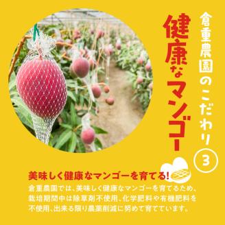 【2026年6月以降お届け】くるめで育った完熟マンゴー（3～5個：1.7kg以上）_先行予約 完熟マンゴー 3個 ～ 5個 1.7kg 贈答用 久留米産 とろける 甘い フルーツ トロピカルフルーツ 果物 マンゴー 完熟 高糖度 人気 国産 地植栽培 冷蔵 クール便 倉重農園 お取り寄せ お取り寄せフルーツ 食べ物 食品 福岡県 久留米市 送料無料_Fm012