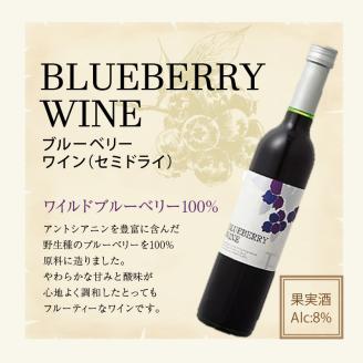 女性に大人気！ワインの赤ちゃん（500ml×2本）・ブルーベリーワインセミドライ（500ml×1本）の3本セット_ワインの赤ちゃん 2本 ブルーベリーワイン 1本 500ml × 3本 セット 初々しい 酸味 果汁っぽい 甘さ ボトルを振る 乳白色 出産祝い 最適 ワイルド ブルーベリー 100% やわらかな甘みと酸味 フルーティー ワイン お取り寄せ 福岡県 久留米市 送料無料_Ew004
