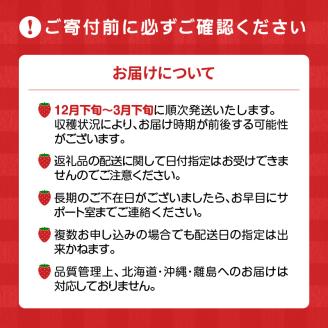福岡県産【特別栽培】特選DX等級完熟あまおう　270g×2パック_福岡県産 特別栽培 特選 DX等級 完熟 あまおう 270g × 2パック 計 540g 自然の恵み 濃厚 大粒 ジューシー 朝採れ いちご 宙づり ハンモック構造 贈答用 フルーツ デザート お取り寄せ 福岡県 久留米市 送料無料_Fi057