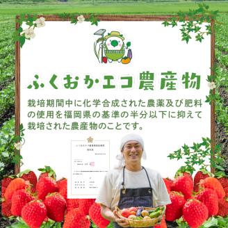 いちごジャム3種セット（特別栽培いちご使用）_いちごジャム3種セット 特別栽培いちご使用 140g × 3個 詰め合わせ 化粧箱入り 瓶 エコ農産物 濃厚 あまおう いちごの王様 ブレンド 恋みのり 風味豊か 華やか 糖度 高い スコーン ワッフル トースト グルメ 贈り物 福岡県 久留米市 お取り寄せ 送料無料_Ca011