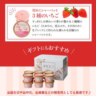 いちごジェラート詰め合わせ(12個入り)_いちご ジェラート 3種類 × 各 4個 100ml 計 12個 詰め合わせ プレミアム いちごミルク あまおう ヨーグルト ホワイトショコラ 紅ほっぺ 煌めく シャーベット かおりの 恋みのり さがほのか ブレンド 誕生日 お中元 ギフト用 おすすめ 久留米市 送料無料_Dw014