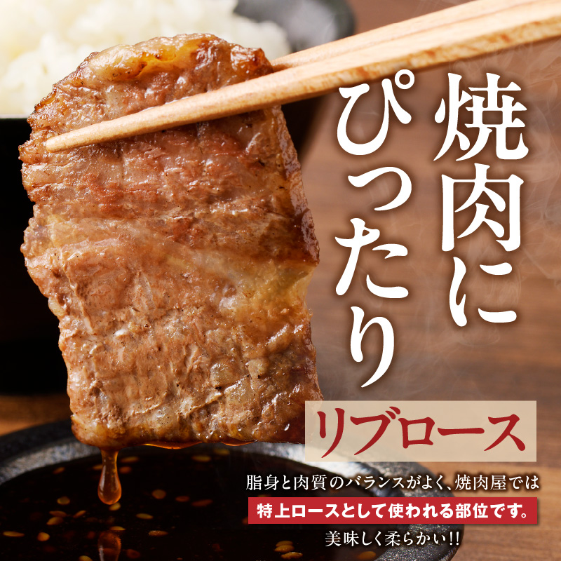 【牛肉】筑後 船小屋牛 リブロース焼肉500g【福岡県産】_リブロース 牛肉 牛リブロース 国産 福岡県産 500g 焼肉 船小屋牛 特上ロース ジューシー 美味しい 柔らかい 冷凍配送 お肉 国産牛 バーベキュー よしおか総本店株式会社 お取り寄せ お取り寄せグルメ 福岡県 久留米市 送料無料_Ab031