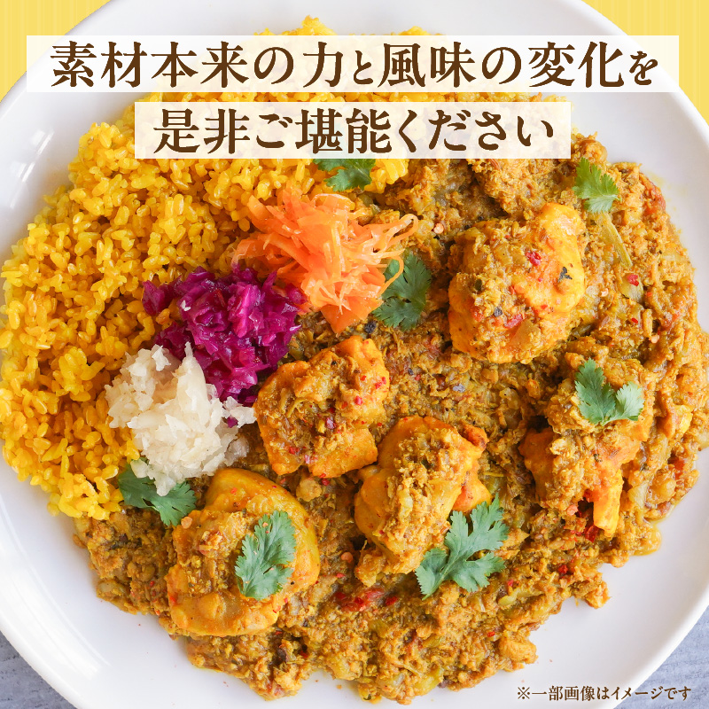 パキスタンチキンカレー_久留米 さざなみどり パキスタン チキンカレー 180g × 5パック FLAVORオリジナル ガラムマサラ カレー カレーライス 時短 レトルト 食品 加工品 肉加工品 惣菜 福岡県 久留米市 お取り寄せ お取り寄せグルメ 送料無料_Ca013