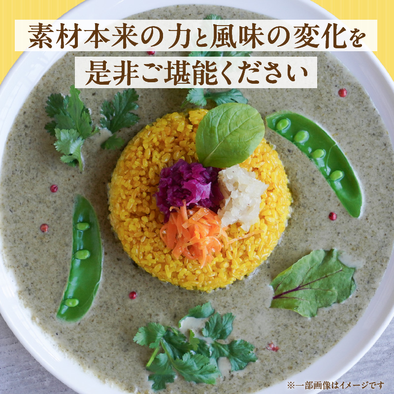 魚介のグリチリカレー_有明名産 漬けあみ グリーンカレー 180g × 5パック 和製 コク深い 鼻から抜ける爽やかな辛さ カレー カレーライス 時短 レトルト 食品 加工品 肉加工品 惣菜 福岡県 久留米市 お取り寄せ お取り寄せグルメ 送料無料_Ca024