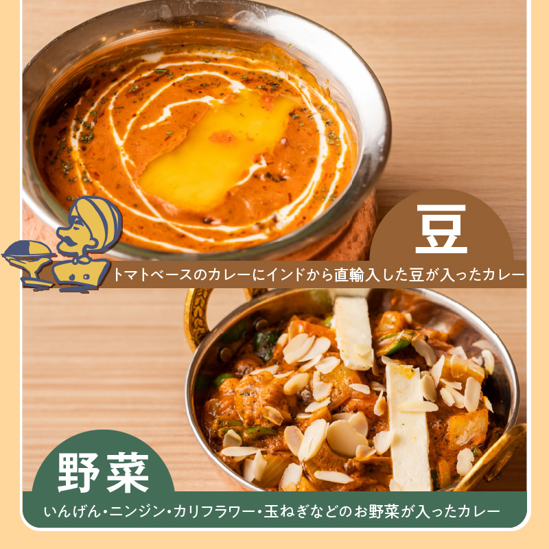 【辛口】ビスヌ 本格カレー　シェフのおすすめ10食_ビスヌ 本格 カレー シェフ おすすめ 10食 バターチキン 豆 海老 チキン 野菜 各 2個 辛口 インドカレー スパイス こだわり インド 直輸入 Aランク できたて 冷凍 真空パック お取り寄せ 福岡県 久留米市 送料無料_Ca047-03 辛口
