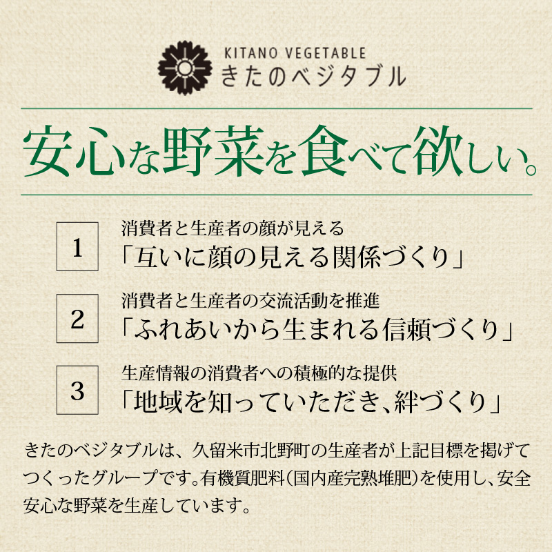グラノーラセット（プレーングラノーラ130g×2袋、小松菜グラノーラ130g×2袋）_グラノーラ セット プレーングラノーラ 小松菜グラノーラ 2種類 130g 各 2袋 食べ比べ きたのベジタブル 季節 ドライフルーツ ドライベジタブル プレーン 新鮮 小松菜 野菜 オートミール ナッツ類 シリアル 朝食 お取り寄せ 福岡県 久留米市 送料無料_Ca533 常温配送（通年）