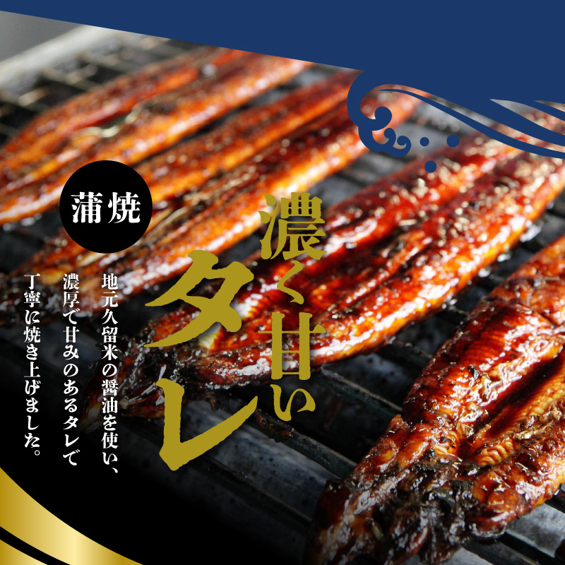 うなぎの蒲焼 2尾セット（特大サイズ 一尾 170g～200g）_うなぎ 蒲焼 2尾 セット 特大サイズ 一尾170g～200g たれ付き 鰻専門問屋 樋口商店 鹿児島 宮崎 国産 ジャポニカ種 真空パック ギフト お取り寄せ グルメ うな丼 うな重 ひつまぶし お土産 手土産 贈り物 プレゼント お中元 職人 送料無料_Cu001