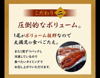 特大うなぎ蒲焼約400g×2尾_特大 うなぎ 蒲焼 無頭 約 400g 2尾 秘伝のタレ グルメ 食品 加工品 魚 魚介類 おかず 惣菜 ご飯のお供 酒の肴 うな丼 ひつまぶし お茶漬け 鰻巻き 冷凍 パック 太輔商事 福岡県 久留米市 お取り寄せ お取り寄せグルメ 送料無料_Cu027