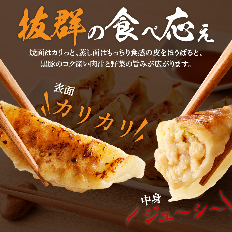 極旨黒豚餃子_極旨黒豚餃子 （23g×20 個）×5 袋 餃子 100個 三桃食品 おべんとうのヒライ 鹿児島県産 黒豚 肉 豚肉 国産 極旨 黒豚餃子 食品 食べ物 おかず おつまみ 水餃子 揚げ餃子 冷凍 簡単調理 カリカリ もっちり 福岡 久留米 お取り寄せ お取り寄せグルメ 送料無料_Cx221