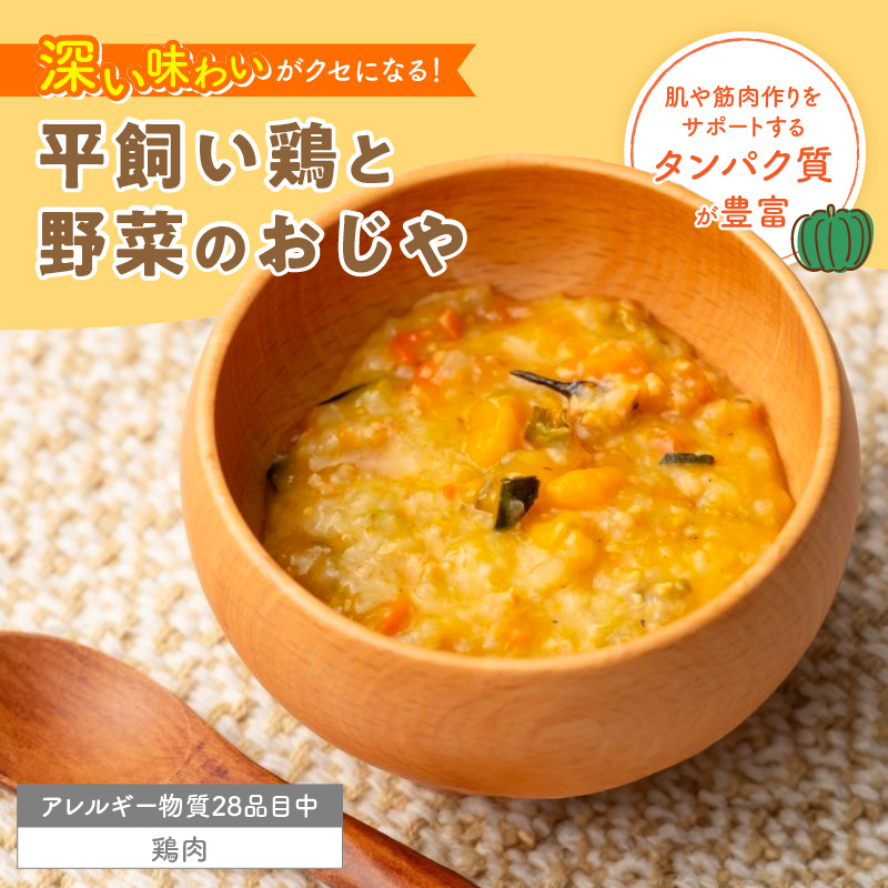 HOPPE BABY FOOD　レトルト離乳食　9か月以上向け　6袋セット _ 離乳食 レトルト おじや 3種類 セット 9か月 ～ 11か月 6袋 管理栄養士 監修 国産 野菜 肉 鉄分 タンパク質 DHA DPA ベビー用 赤ちゃん用 お取り寄せ 福岡県 久留米市 送料無料 _Cx245-01 6袋セット