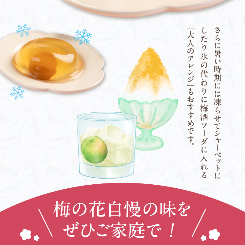 梅の花　梅ゼリー　12個入_梅ゼリー 95g × 12個 完熟 南高梅 まるごと 一粒 使用 優しい 甘さ 喉越し 爽やか とろける 食感 アレンジ シャーベット 梅酒ソーダ 梅 ゼリー おやつ デザート スイーツ フルーツゼリー 和菓子 贈答用 手土産 お取り寄せ グルメ 福岡県 久留米市 送料無料_Dw043